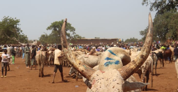 Burkina: A Fada, le marché à bétail à l'épreuve des bruits de canons