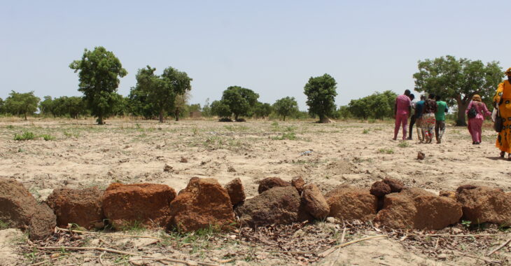 L'agroécologie, une réponse au changement climatique au Burkina Faso