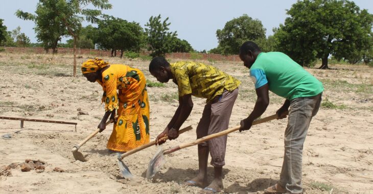 Changement climatique: les pistes pour agriculture durable