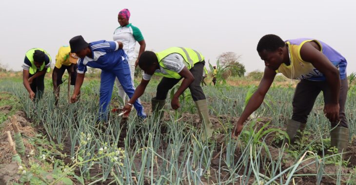 🎧Bagrépôle: un champ d'apprentissage pour les étudiants en agro-sylvo-pastorale