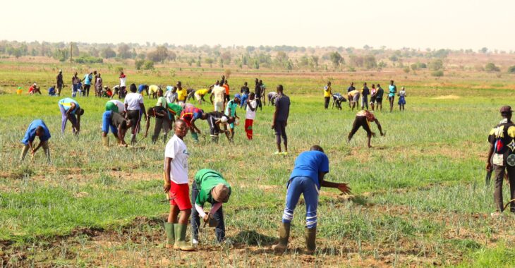 Burkina: A Bagré, des jeunes tracent les sillons du développement rural