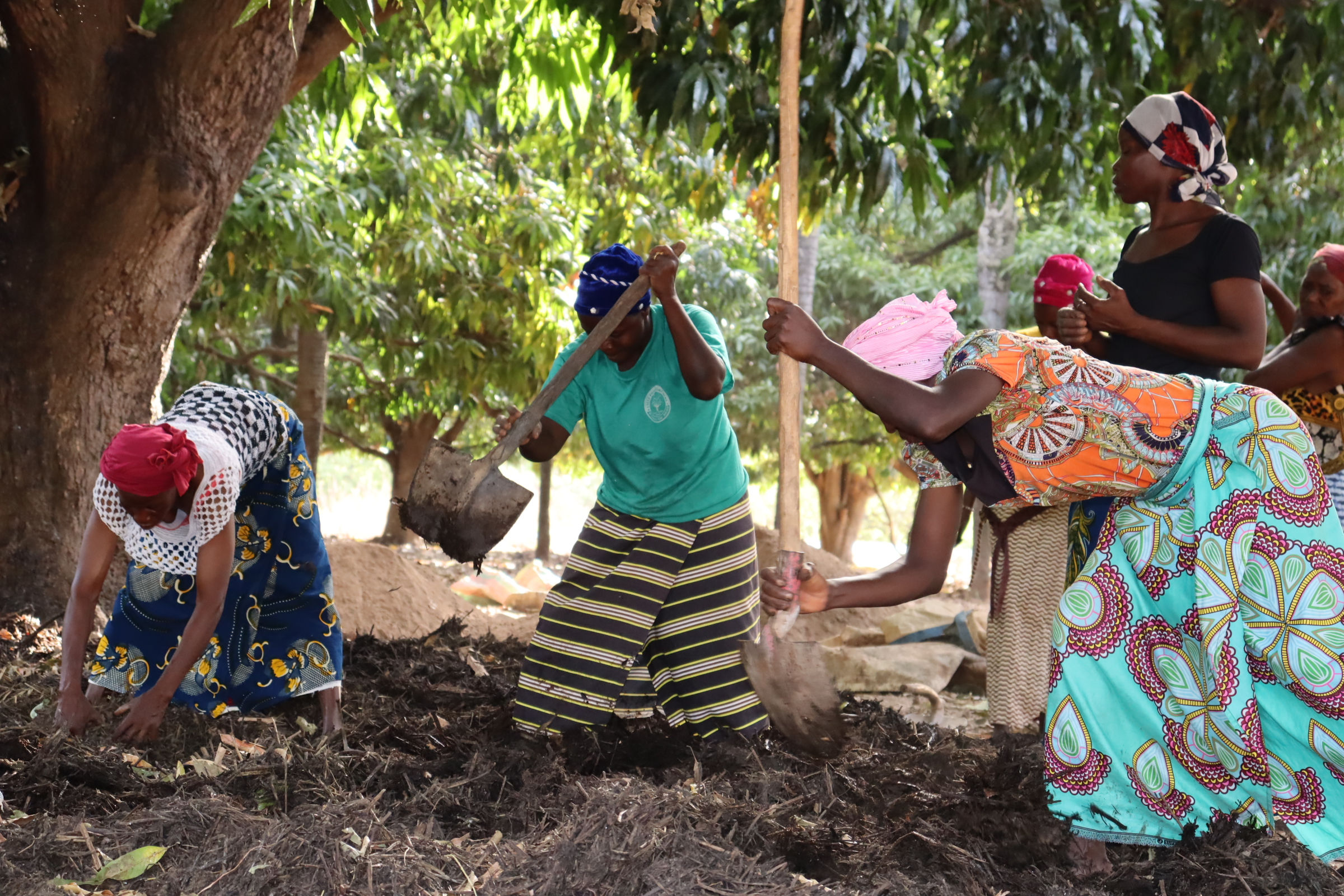 Burkina: A Banfora, des productrices agricoles tournent dos aux engrais chimiques