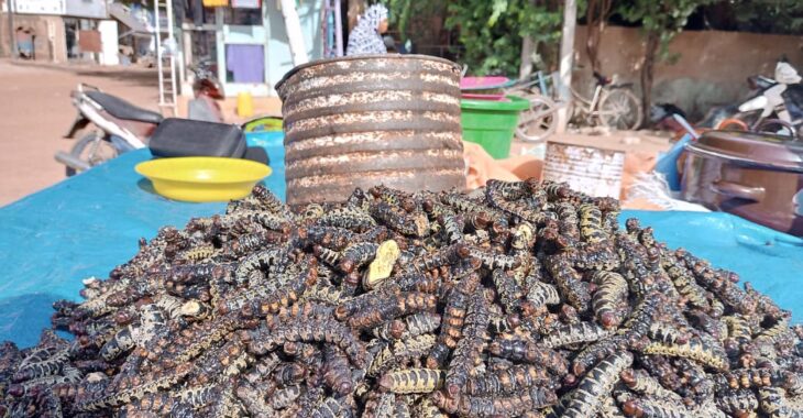 Ouaga: ces commerces liés à la saison des pluies