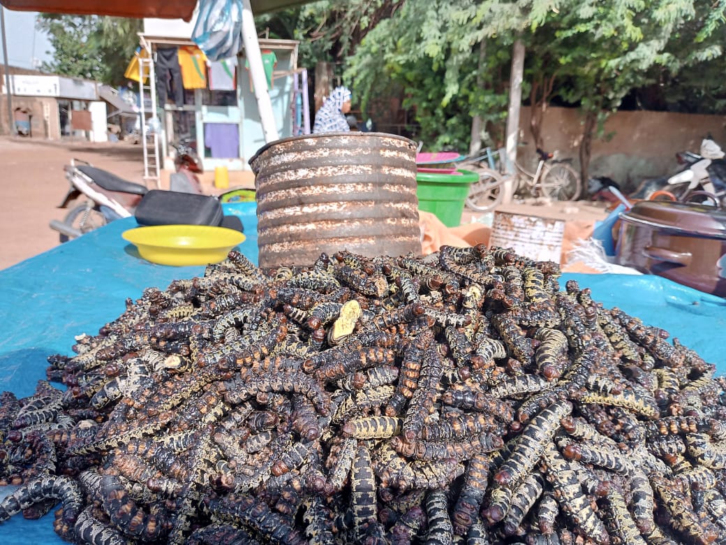 Ouaga: ces commerces liés à la saison des pluies