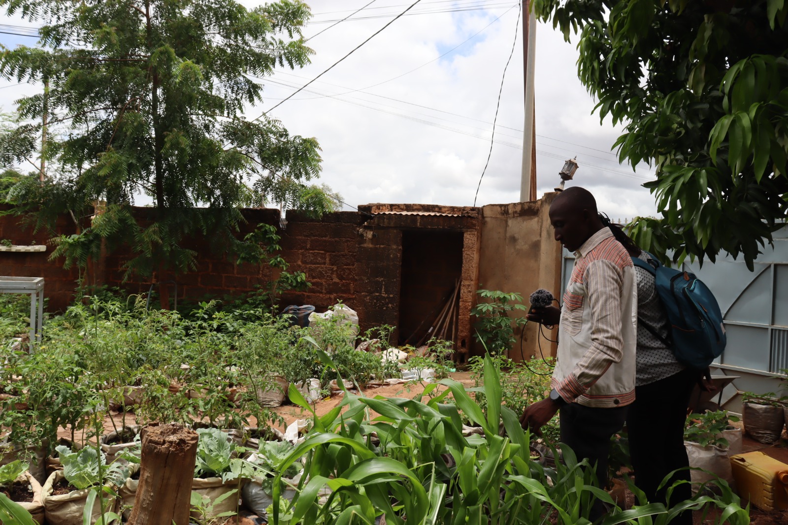 Agriculture: la vision d’agropak pour une agroécologie viable