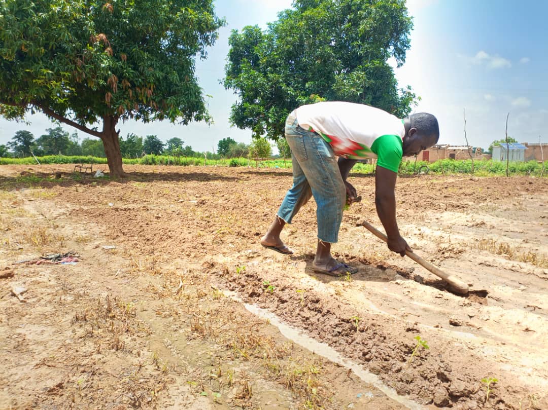 Amidou Nikièma, le promoteur de l’agriculture biologique