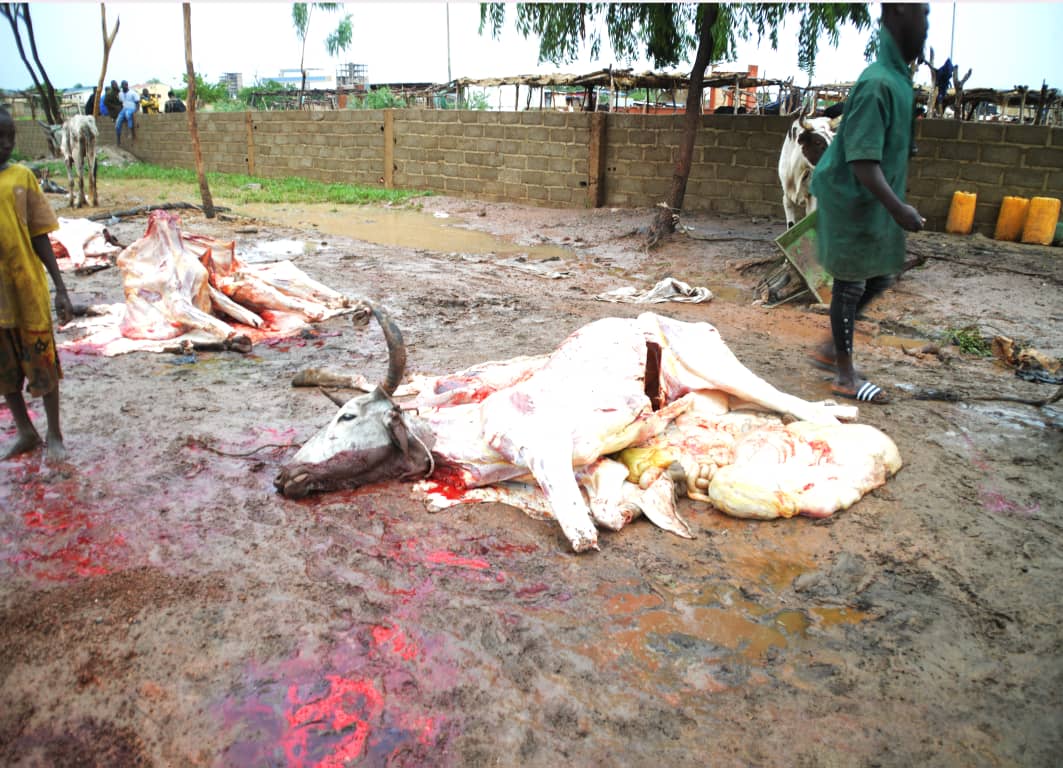 Abattage clandestin d’animaux: immersion dans les abattoirs de fortune de Ouaga