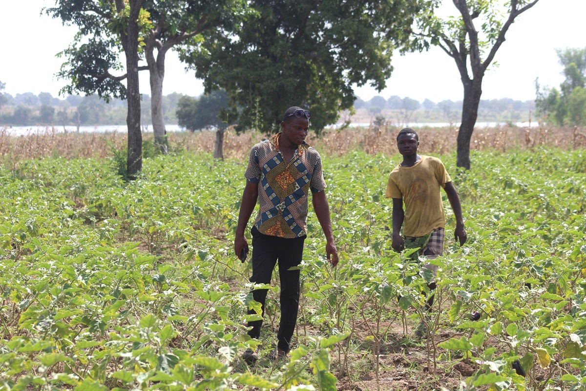 A Pâ, Samuel Nabié, étudiant en philosophie devenu maraîcher