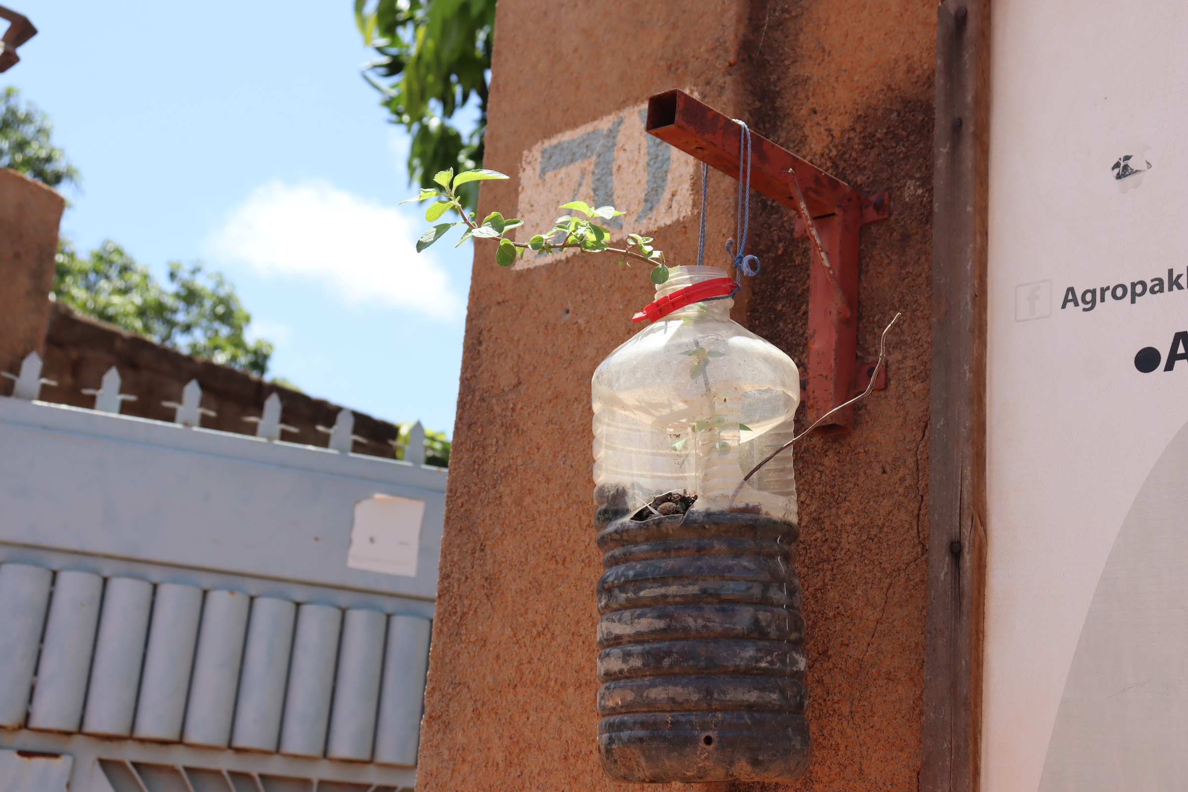 Burkina : A Koudougou, Agropak développe une chaîne de valeur autour du bio