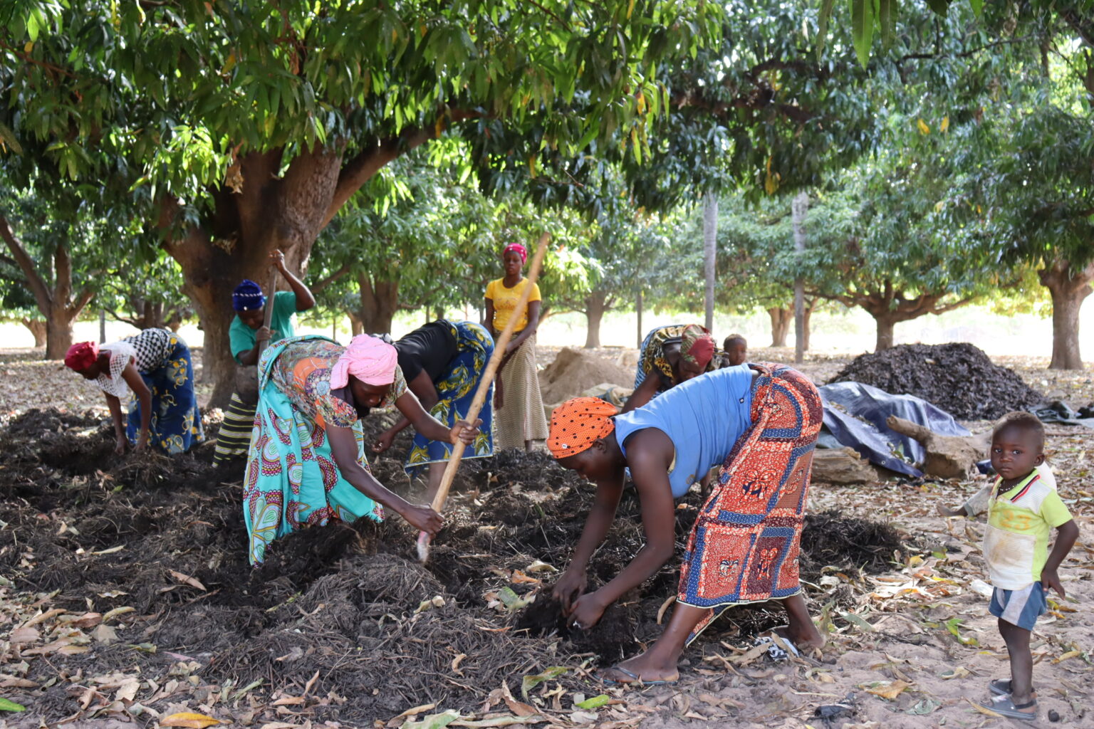 Le bokashi, la technique originale de fertilisation naturel du sol