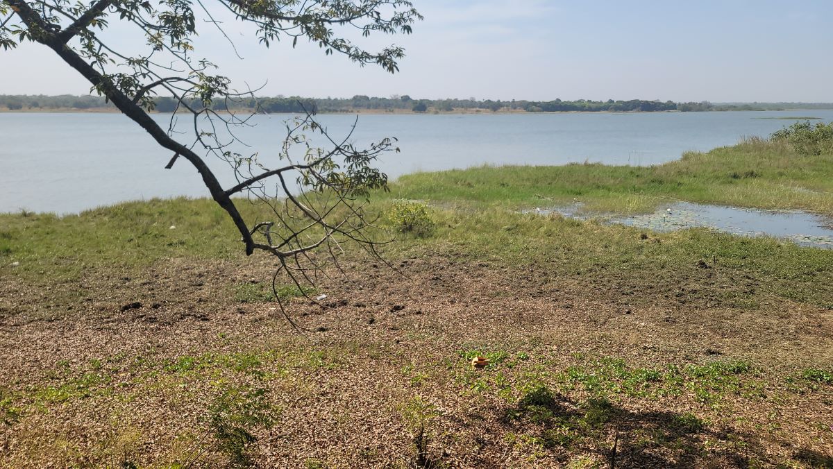 Au Burkina, le cri de détresse du lac Tingréla