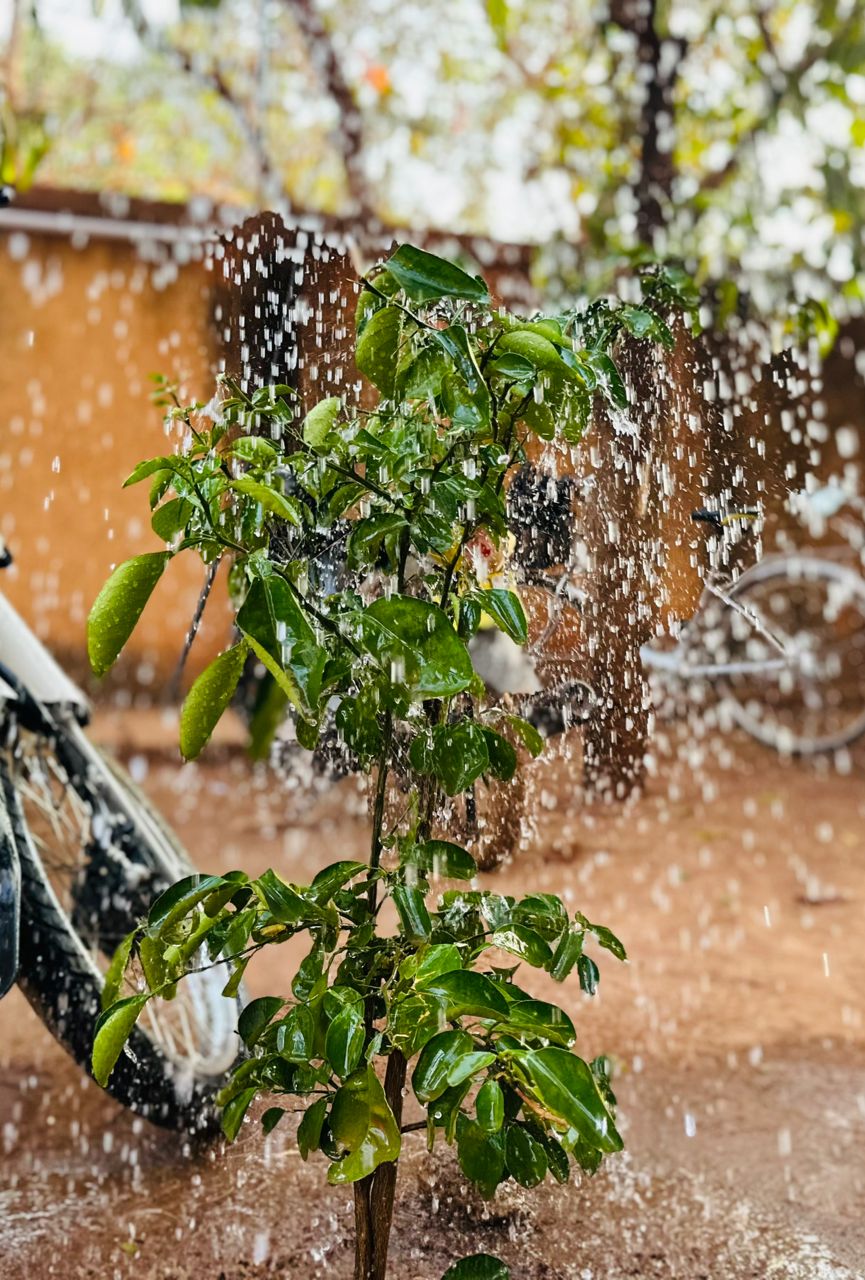 Pluies de janvier 2025 à Ouaga : entre explications scientifiques et analyses traditionnelles