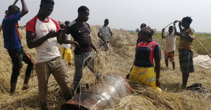 Village de Corona : une agriculture familiale pour réduire les dépenses