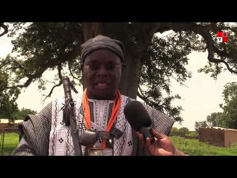 Le Baobab de Yendabli, un mythe, une histoire