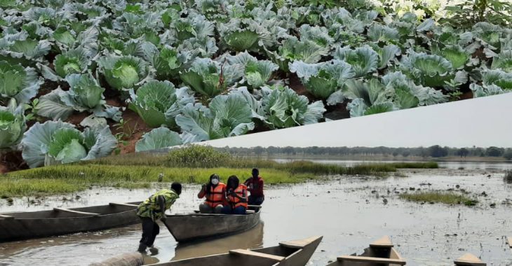 Lac Tengréla : des guides touristiques se convertissent en maraichers