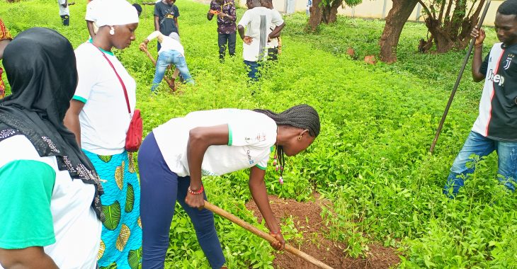 Environnement: des camps de reboisement pour reverdir le Burkina