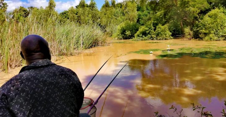 Pêche à la ligne : une passion entretenue par des jeunes