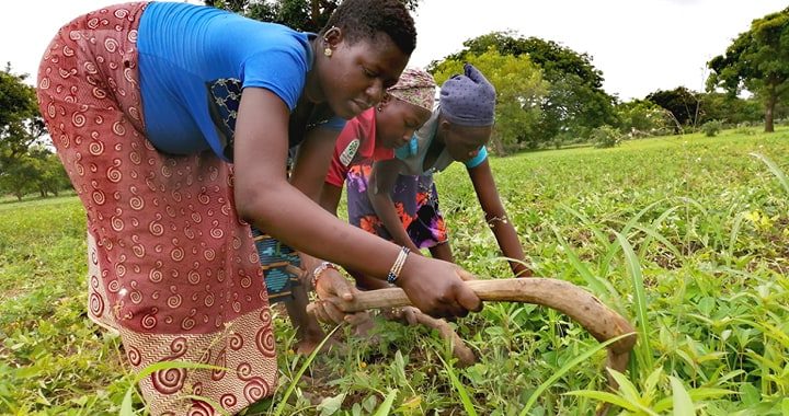 Le pénible quotidien d’une jeune femme agricole enceinte